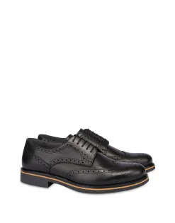 Pollini Derby|Uomo Allacciate