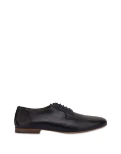 Pollini Derby|Uomo Allacciate