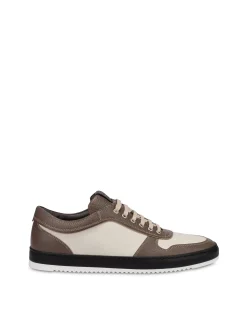 Pollini Sneakers|Uomo Sneakers